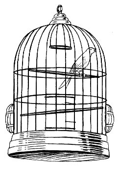 Cage drawing