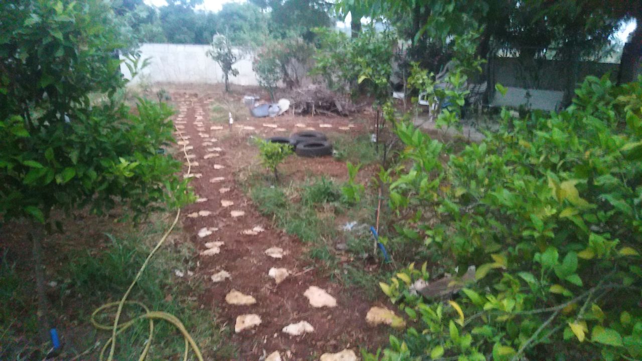 Garden path