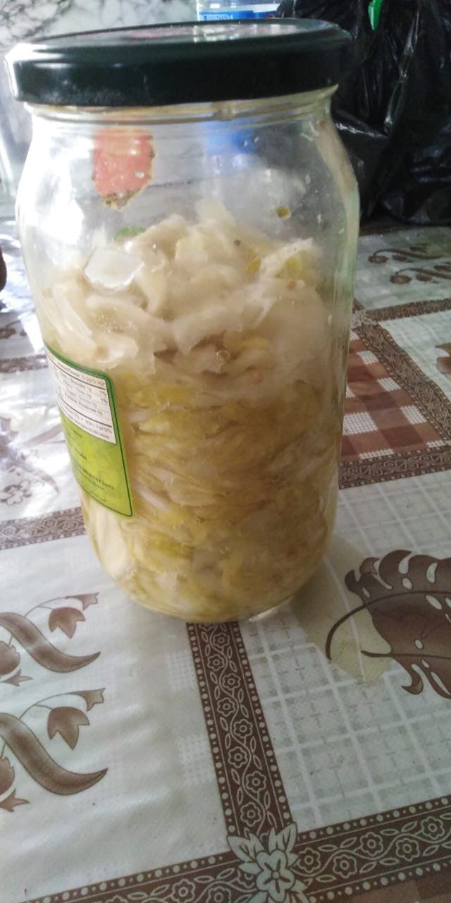 sauerkraut